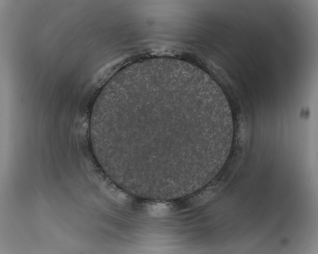 X0000111580513200908271039