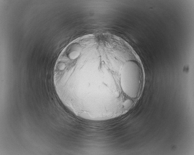 X0000111580515200908271039