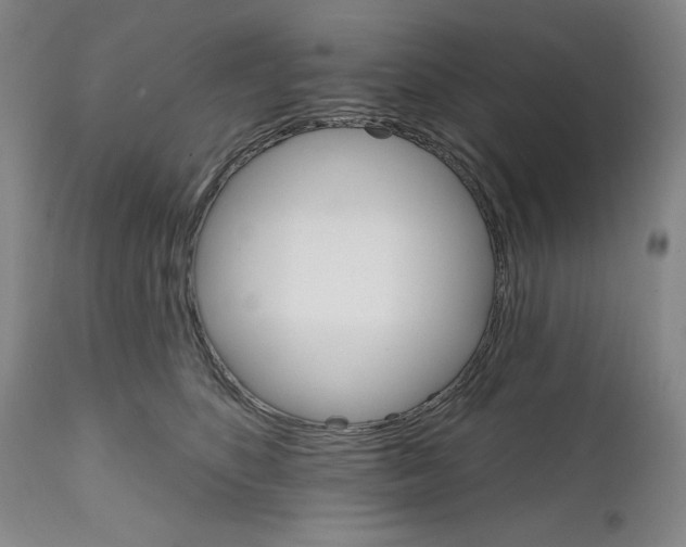 X0000111580516200908271039