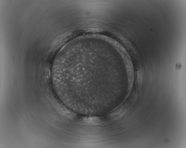 X0000111580517200908271039