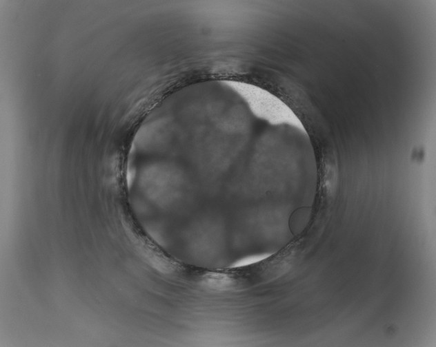 X0000111580519200908271039