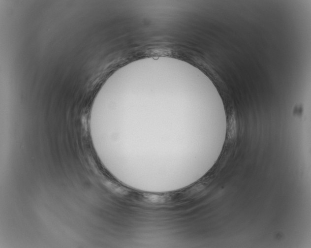 X0000111580522200908271039