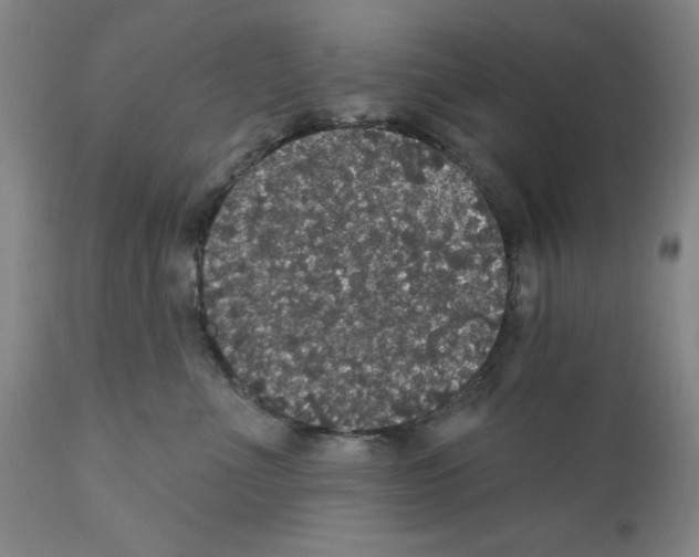 X0000111580523200908271039