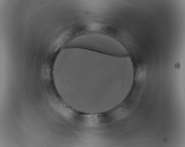 X0000111580524200908271039