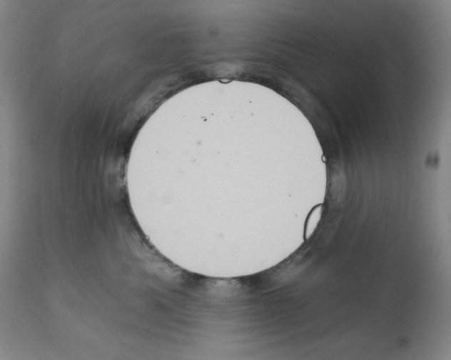 X0000111580525200908271039