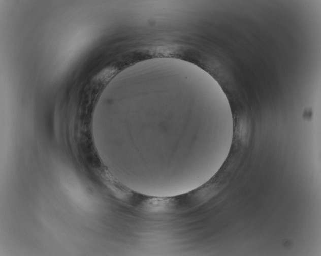 X0000111580526200908271039