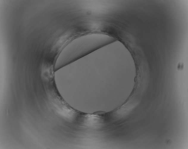 X0000111580528200908271039