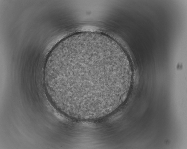 X0000111580529200908271038