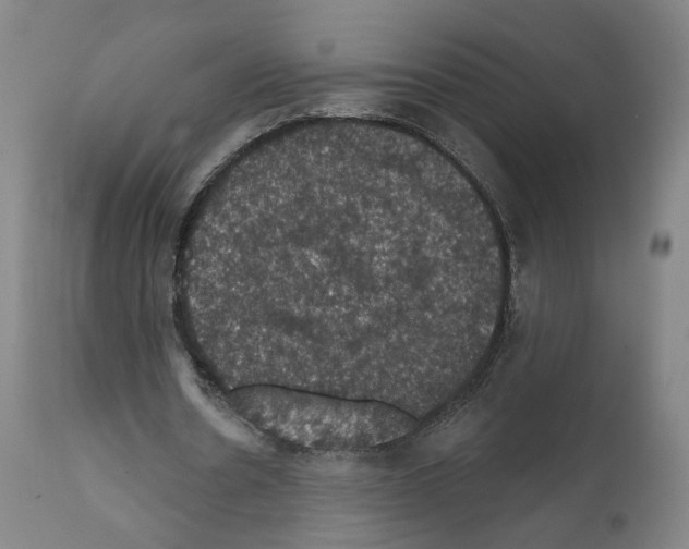 X0000111580530200908271038