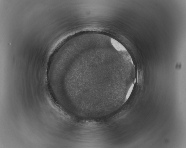 X0000111580531200908271038