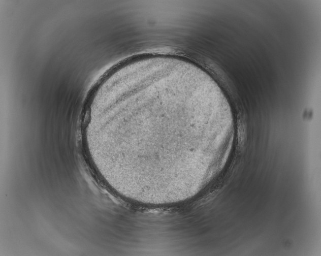 X0000111580532200908271038