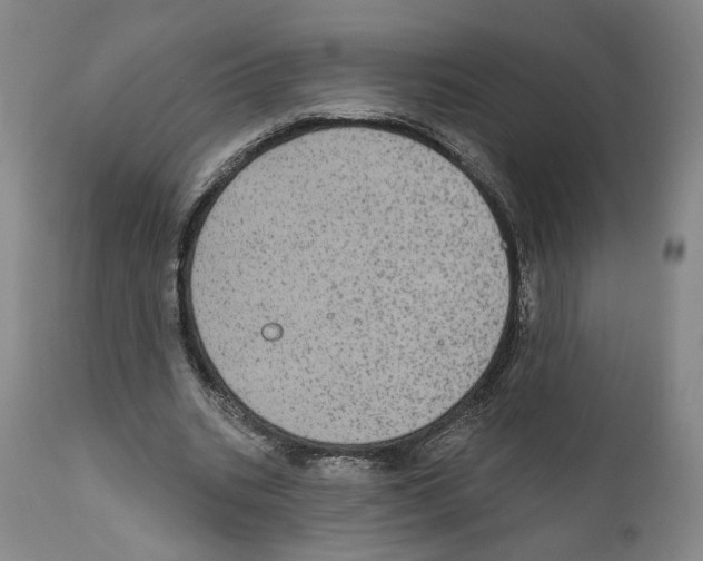 X0000111580535200908271038