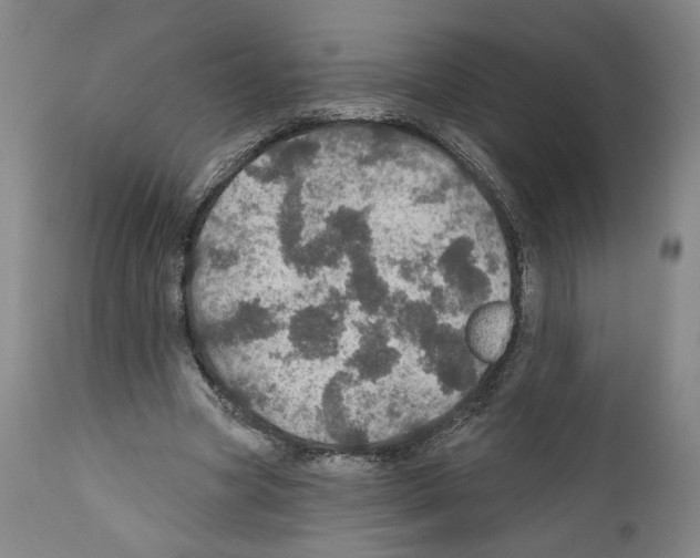 X0000111580537200908271038