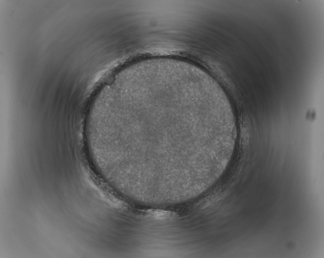 X0000111580539200908271038