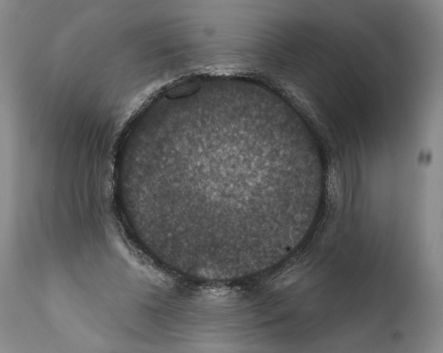 X0000111580540200908271038