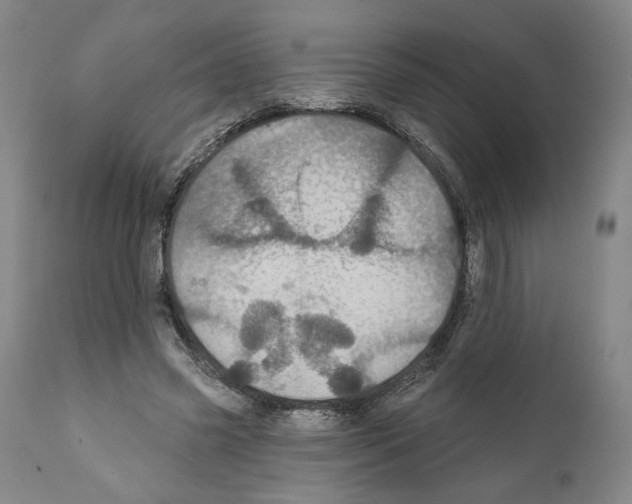 X0000111580541200908271038