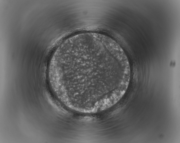 X0000111580542200908271038