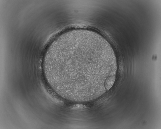 X0000111580543200908271038