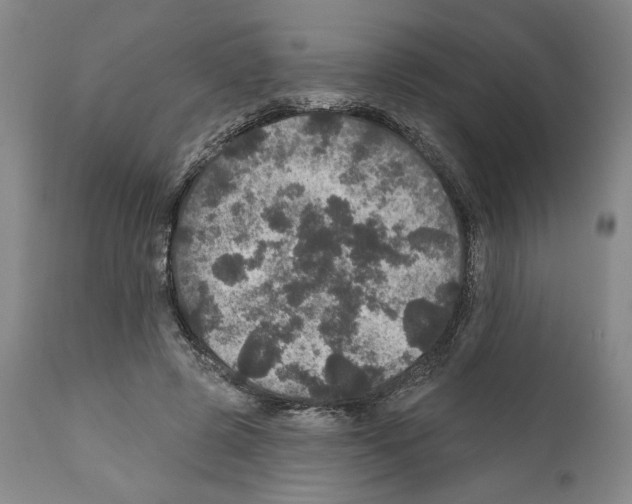 X0000111580545200908271038