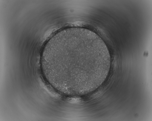 X0000111580548200908271038