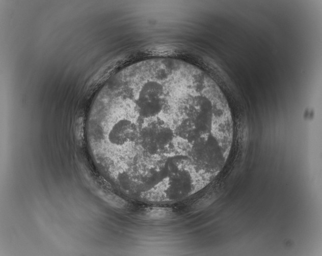 X0000111580549200908271038