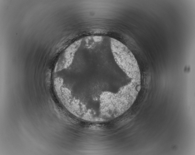 X0000111580550200908271038