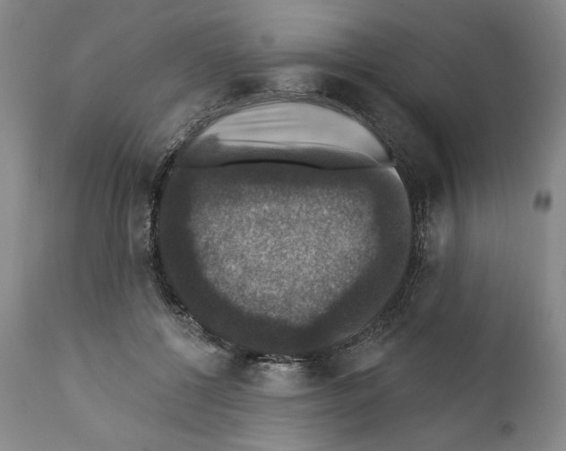 X0000111580552200908271038