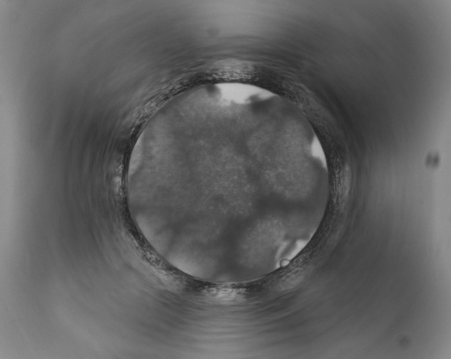 X0000111580553200908271038