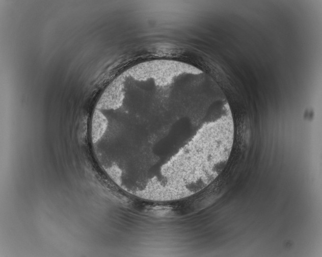 X0000111580554200908271038