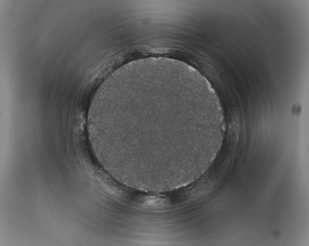 X0000111580555200908271038