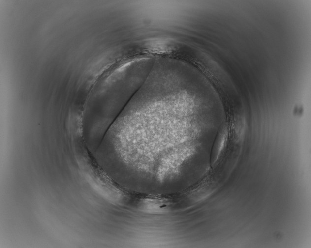 X0000111580556200908271038