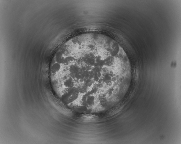 X0000111580557200908271038