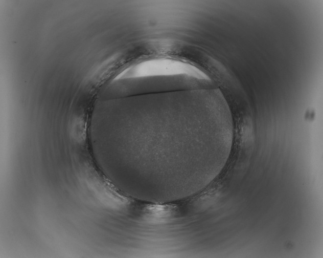 X0000111580558200908271038