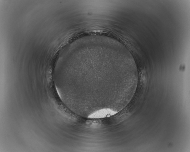 X0000111580559200908271038