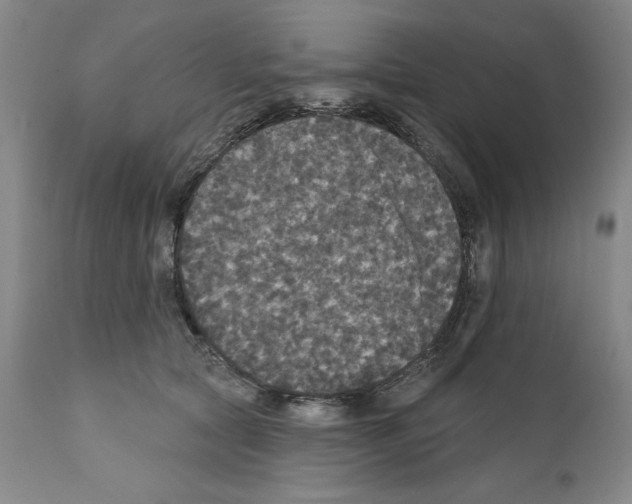 X0000111580561200908271038