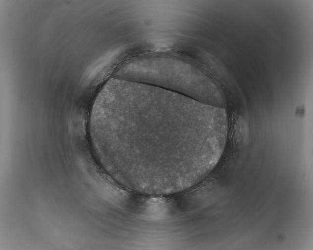 X0000111580562200908271038