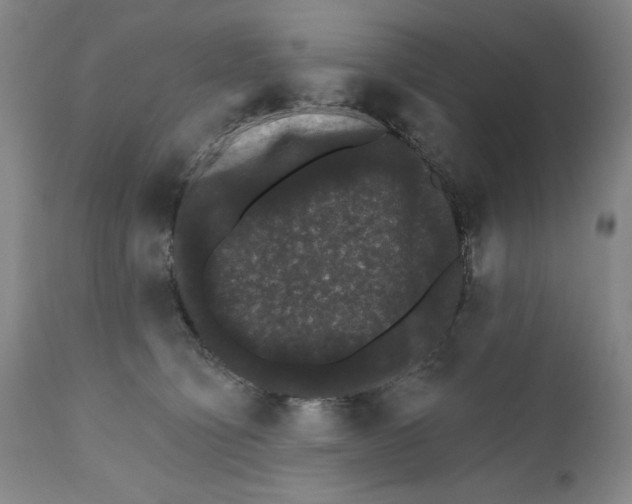 X0000111580564200908271038