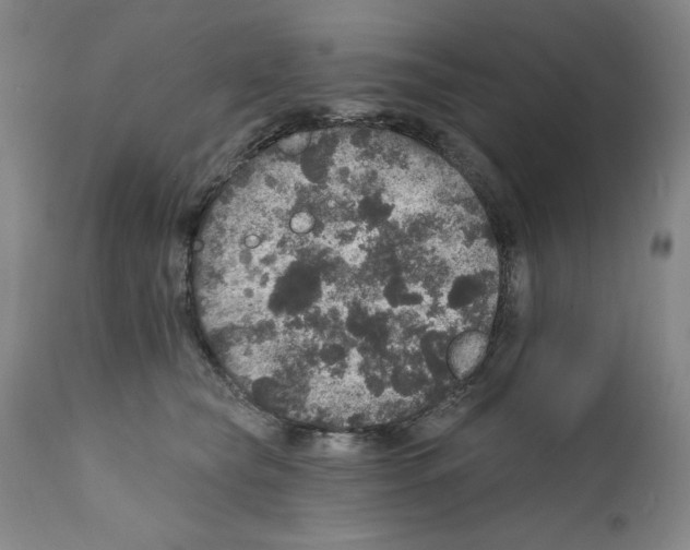 X0000111580565200908271038