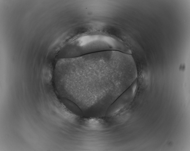 X0000111580566200908271038