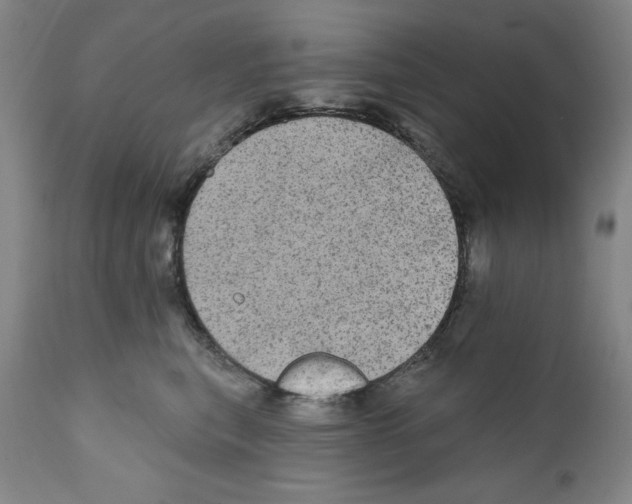 X0000111580567200908271038