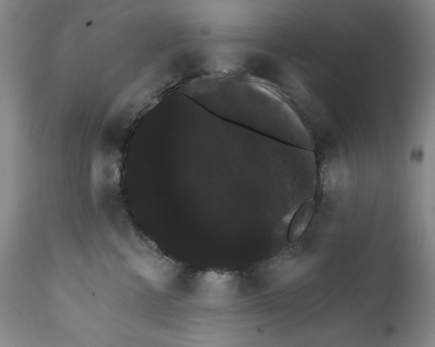 X0000111580570200908271038