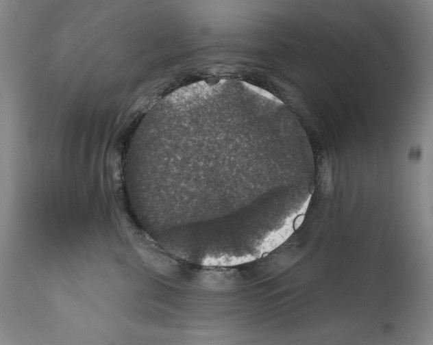 X0000111580571200908271038