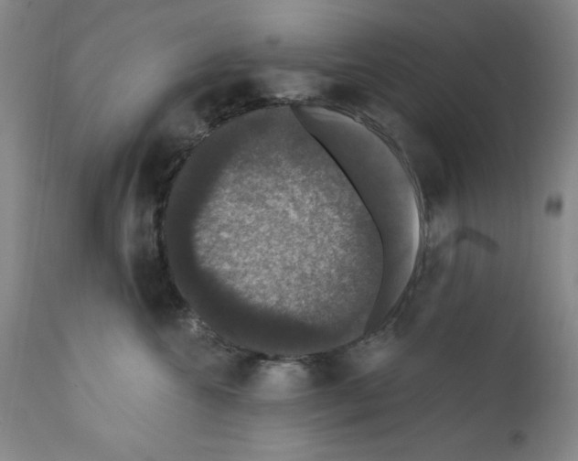 X0000111580572200908271039