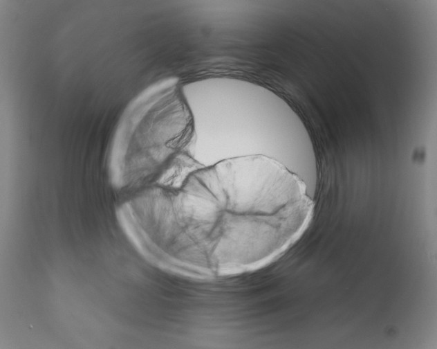 X0000111580573200908271039