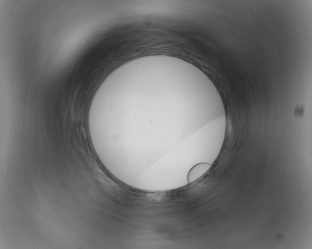 X0000111580574200908271039