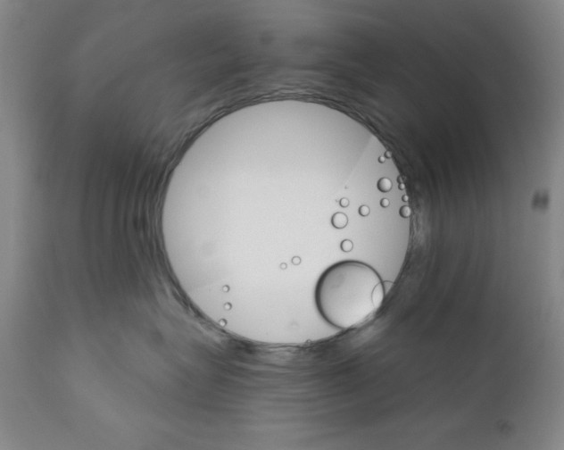 X0000111580575200908271039