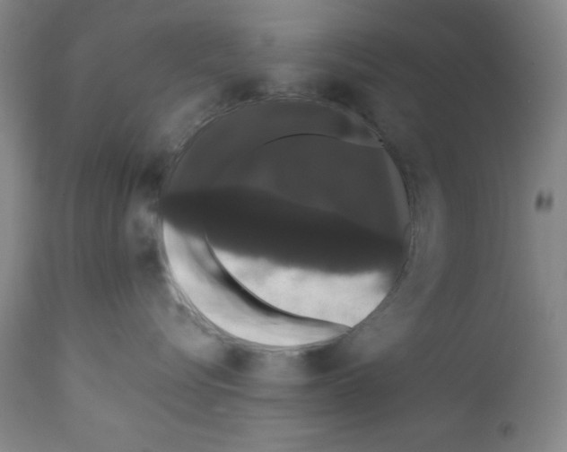 X0000111580576200908271039