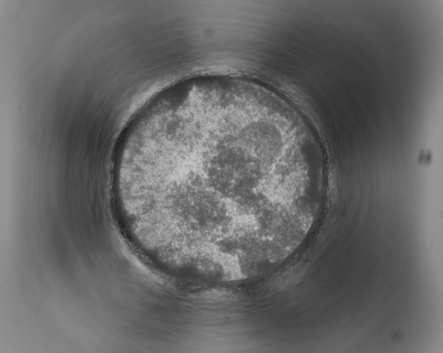 X0000111580578200908271038