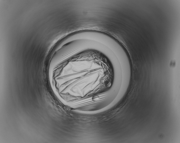 X0000111580579200908271038