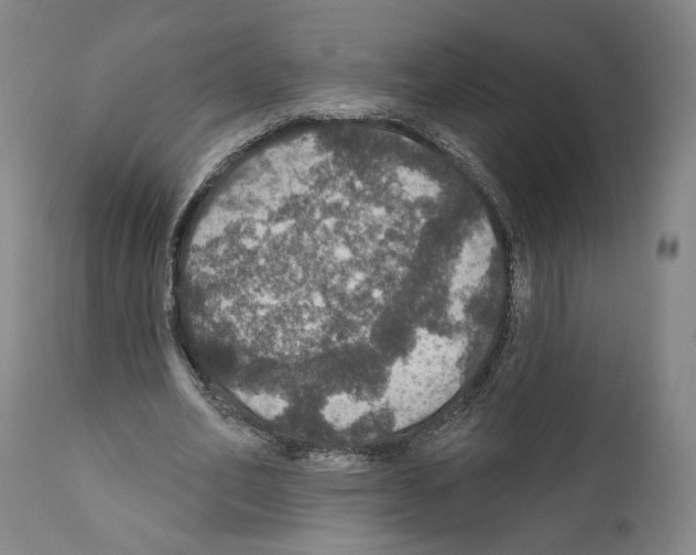 X0000111580582200908271038